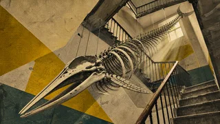 The Whale Was In The Building Before The Building Was