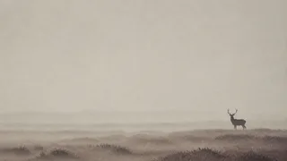 He watched us for a full minute. Then the fog took him.